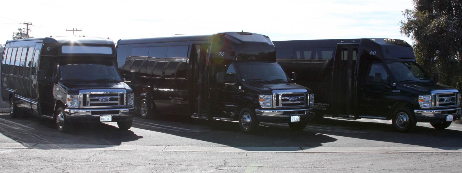 Santa Barbara Executve Mini Limo Bus Coaches for Charter